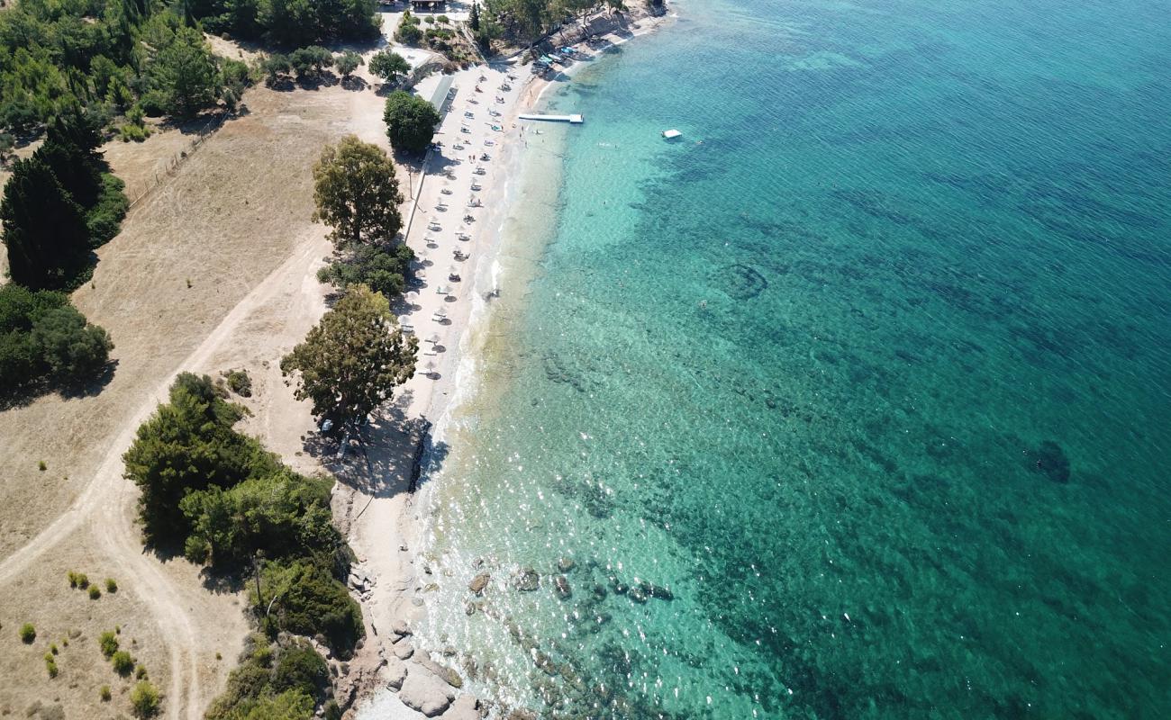 Photo of Lalekent Beach with bright sand surface