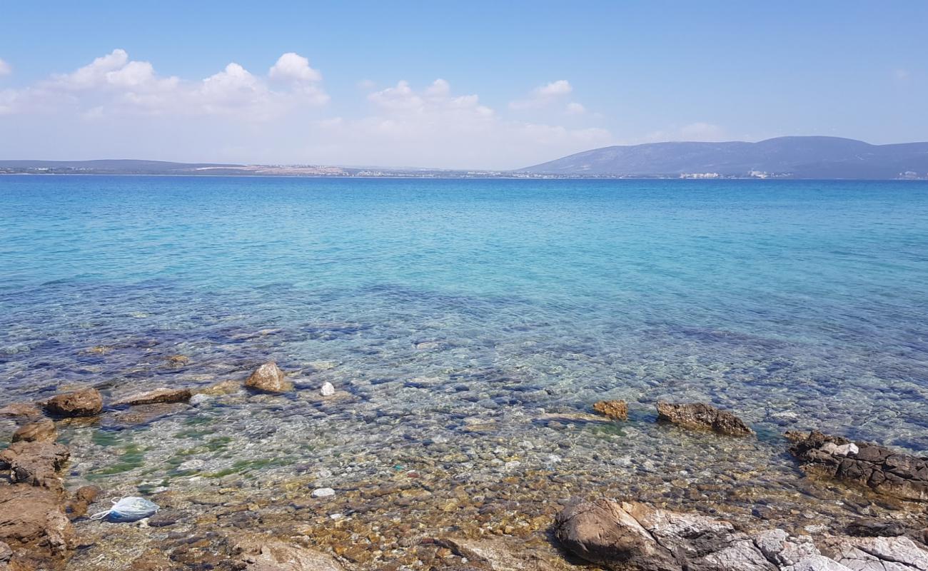 Photo of Empty Beach with rocks cover surface