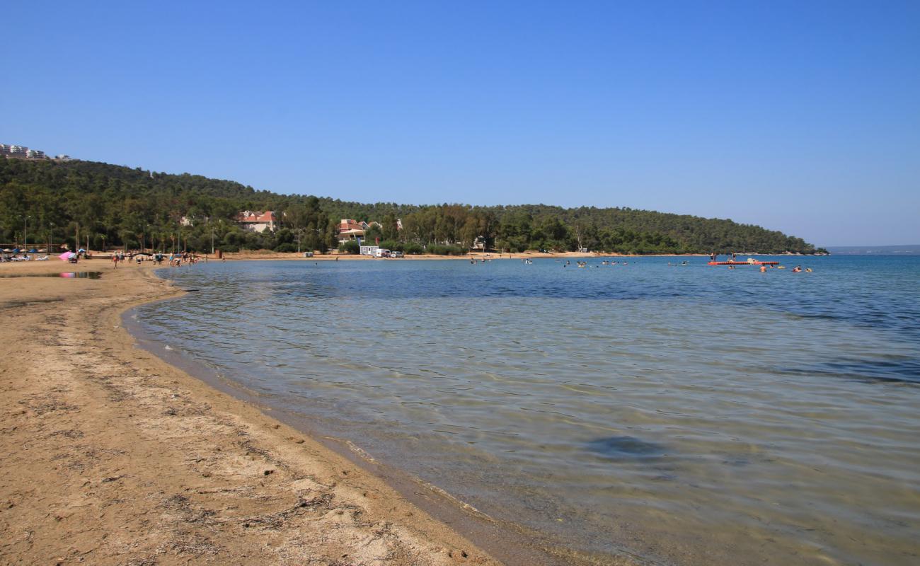 Photo of Esinti Plaji with brown sand surface