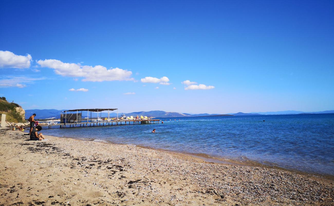 Photo of Didim beach IV with brown sand surface