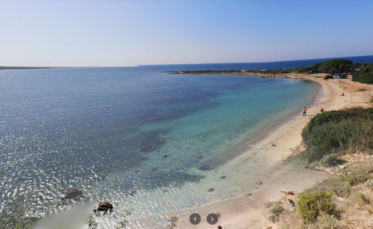 Photo of Mustafa Dayinin Kamp with small bay