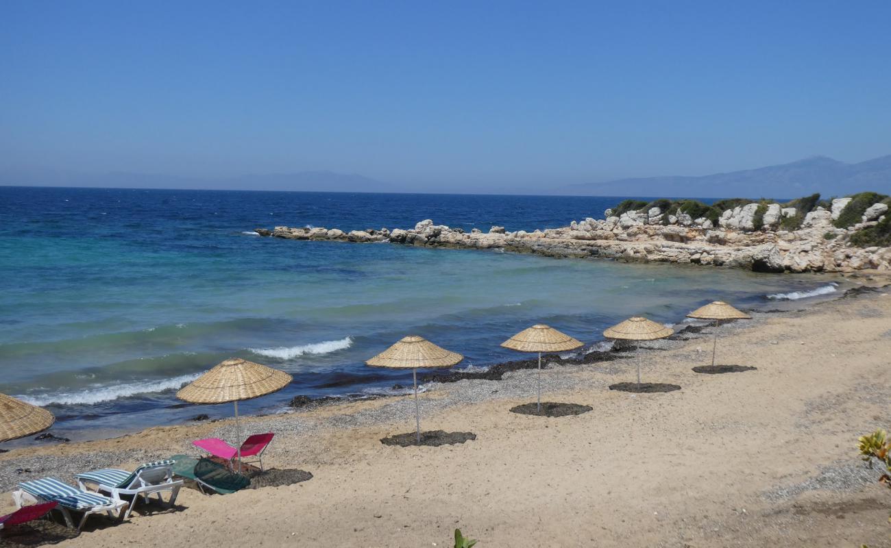 Photo of Sarikum Plaji with brown sand surface