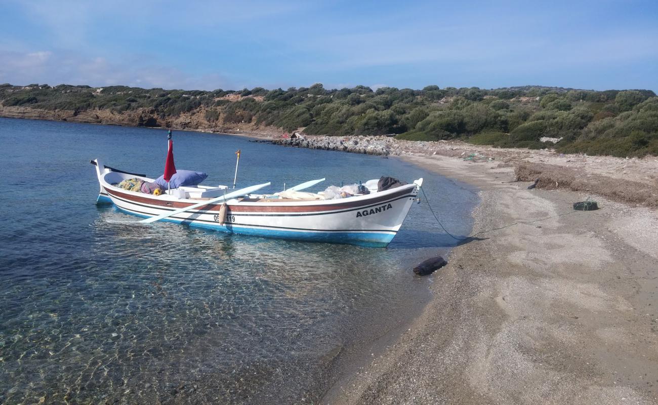 Photo of Little Nero Cove with light fine pebble surface