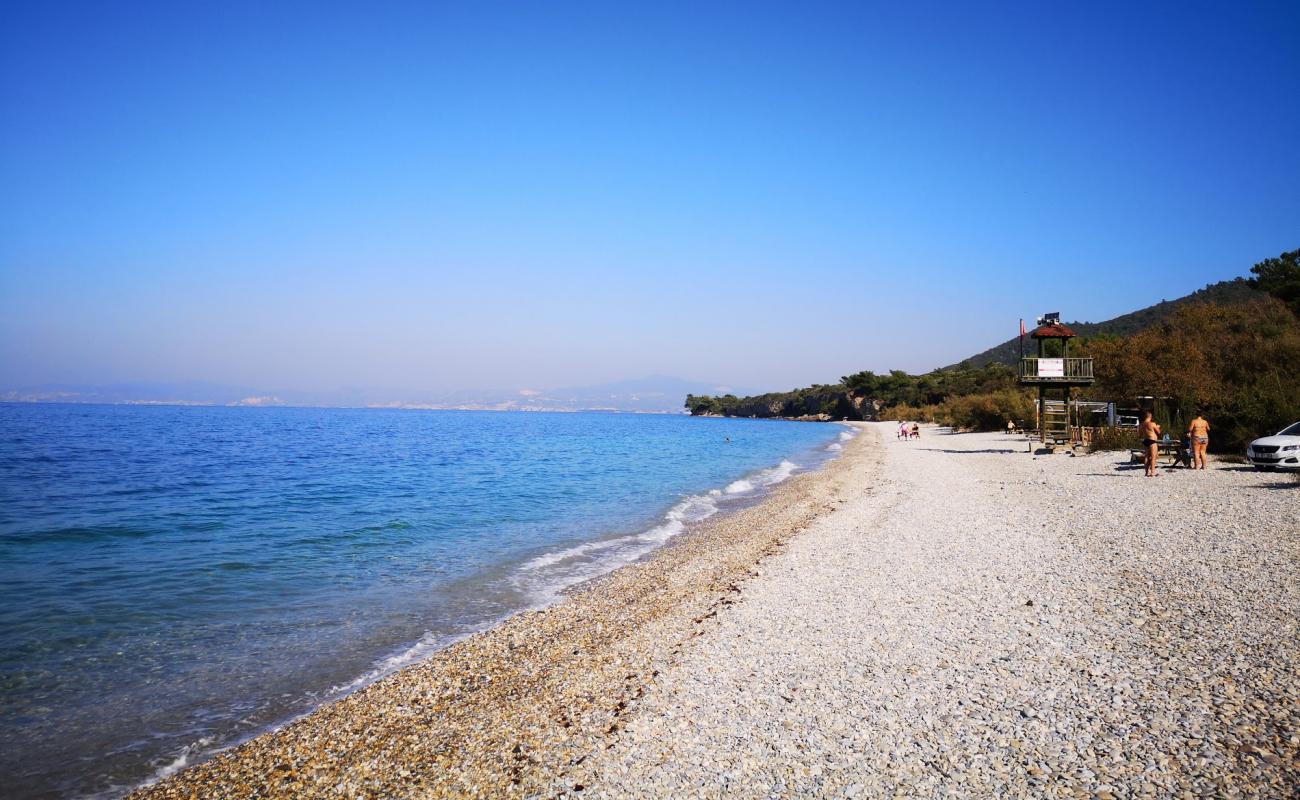 Photo of Kalamaki Plaji with light pebble surface