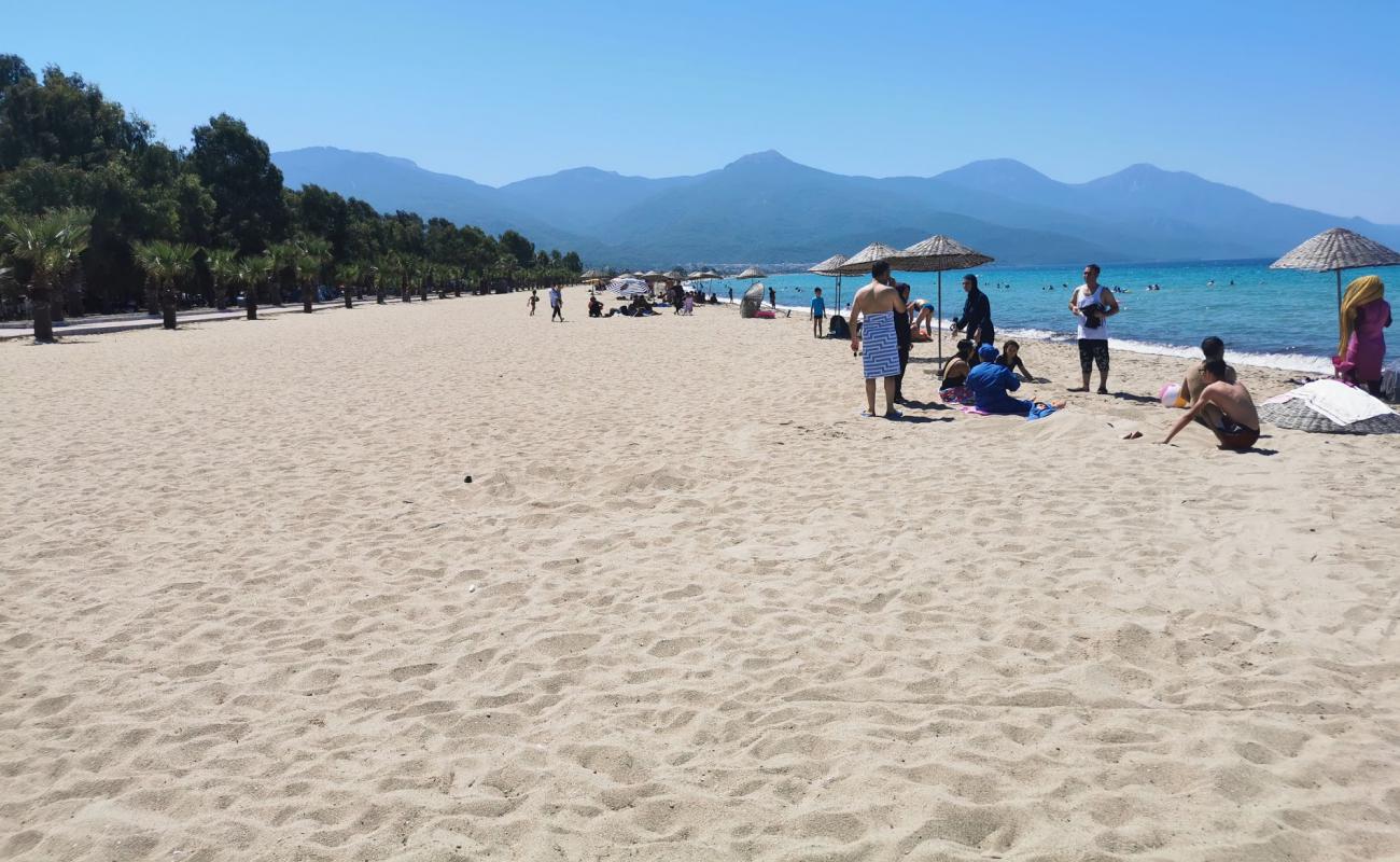 Photo of Kusadasi beach II with bright sand surface