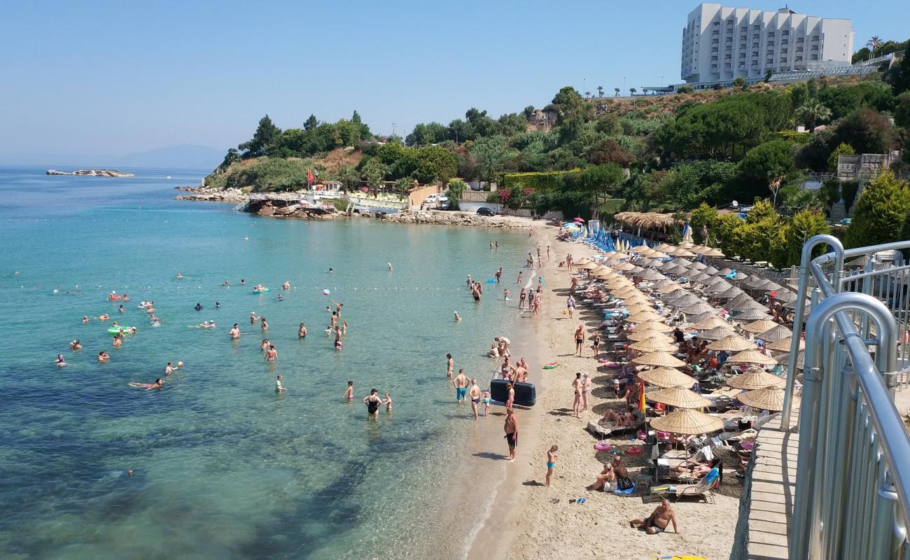 Photo of Paradise cafe beach with bright fine sand surface