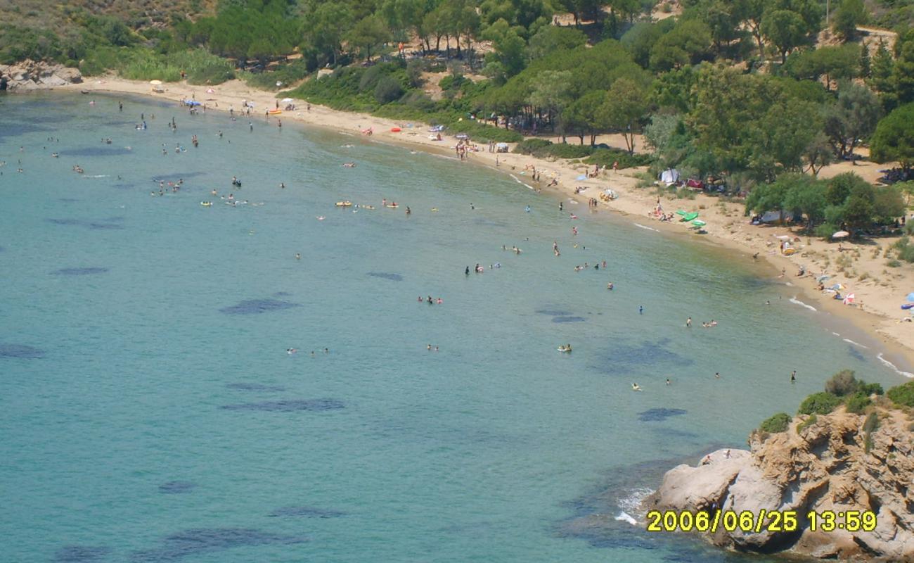 Photo of Sahil Yolu Cd. beach with brown sand surface