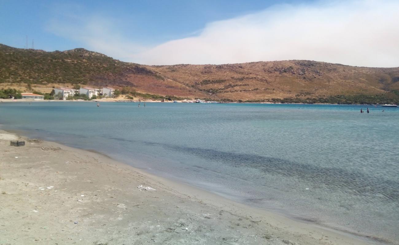 Photo of Altay's Beach with brown sand surface