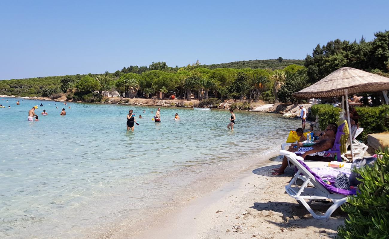 Photo of Quente Beach Club with bright fine sand surface