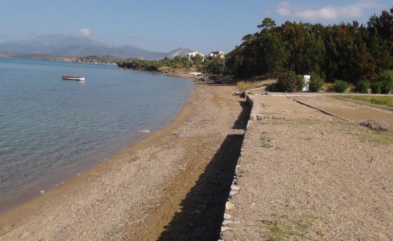 Photo of Istur beach with brown sand surface