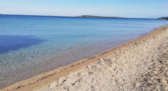 Yat Limanı Beach