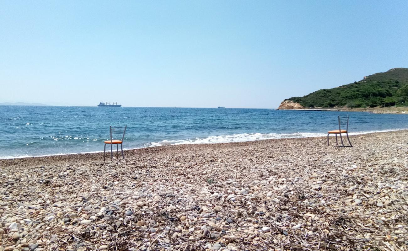 Photo of Cayagzi Camp beach with light fine pebble surface