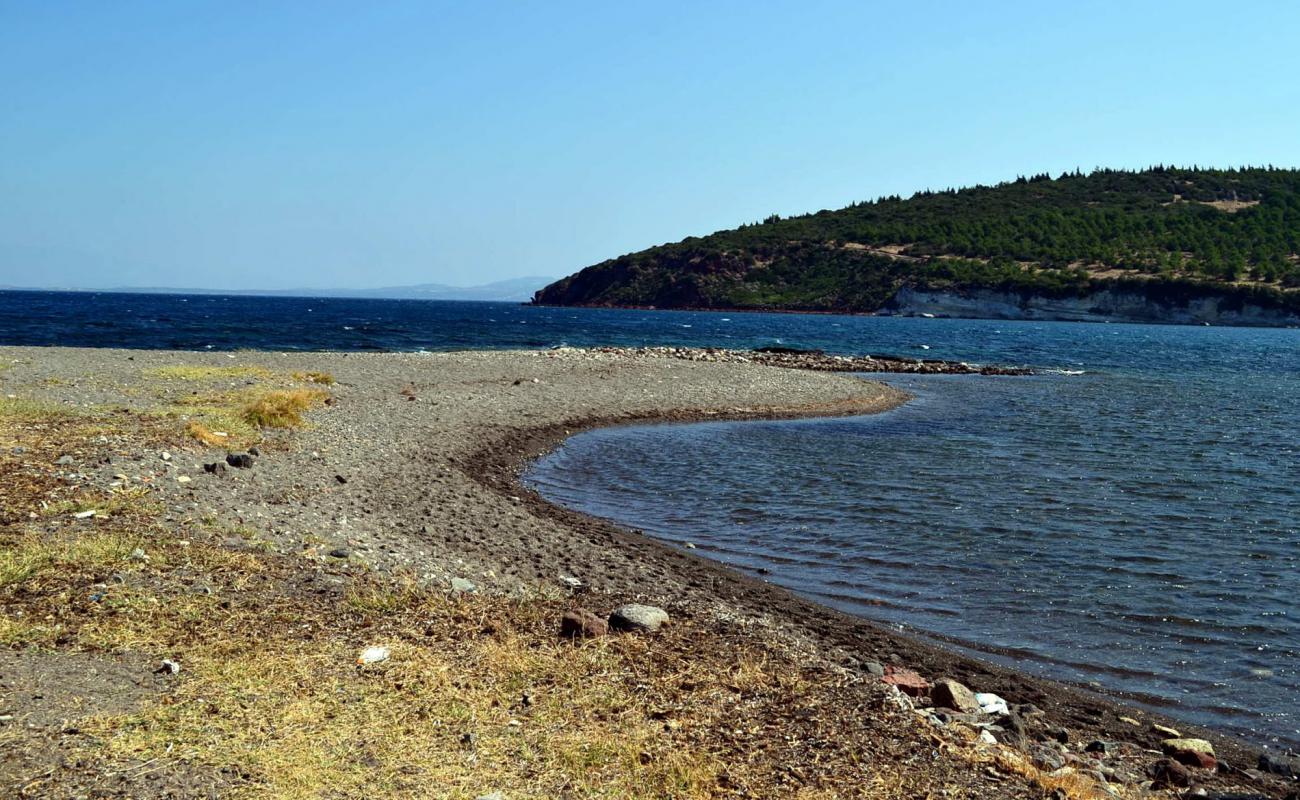 Photo of Sebatepolis beach with rocks cover surface