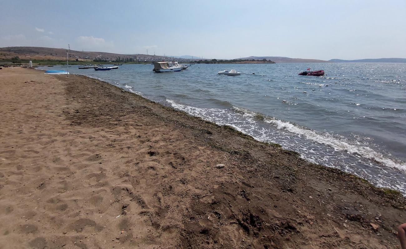 Photo of Shakran beach II with brown sand surface