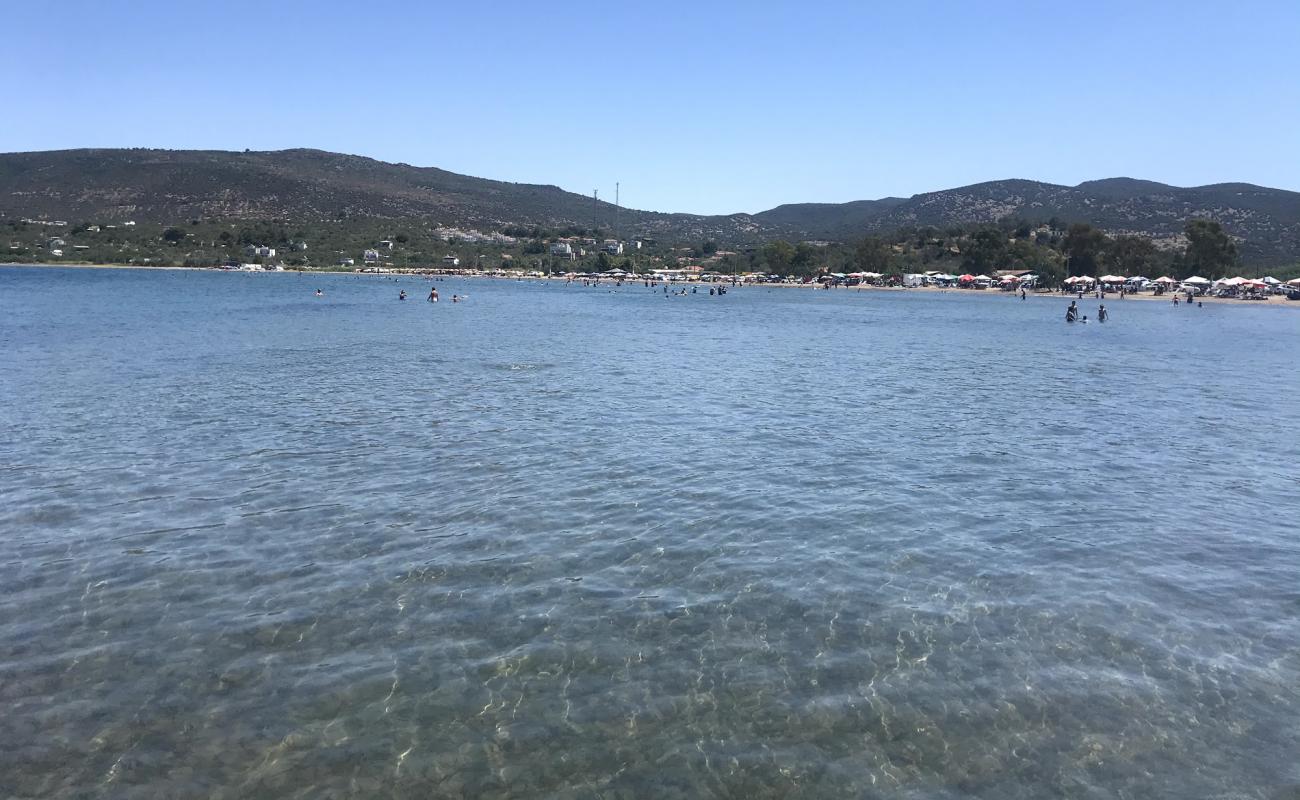 Photo of Bademli Halk Plaji with bright sand surface