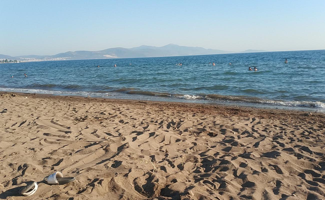 Photo of Tek Cinar beach with bright sand surface