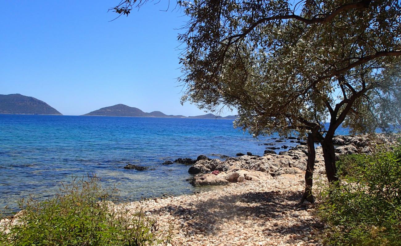 Photo of Grape Pier with brown pebble surface