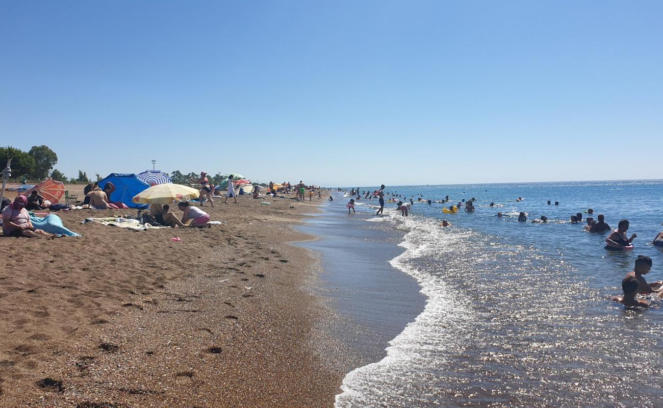 Photo of Lara Beach with brown sand surface