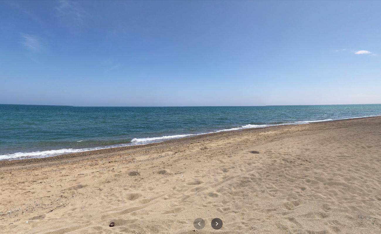 Photo of Altinkum beach with long straight shore