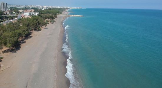 KocaHasanli beach