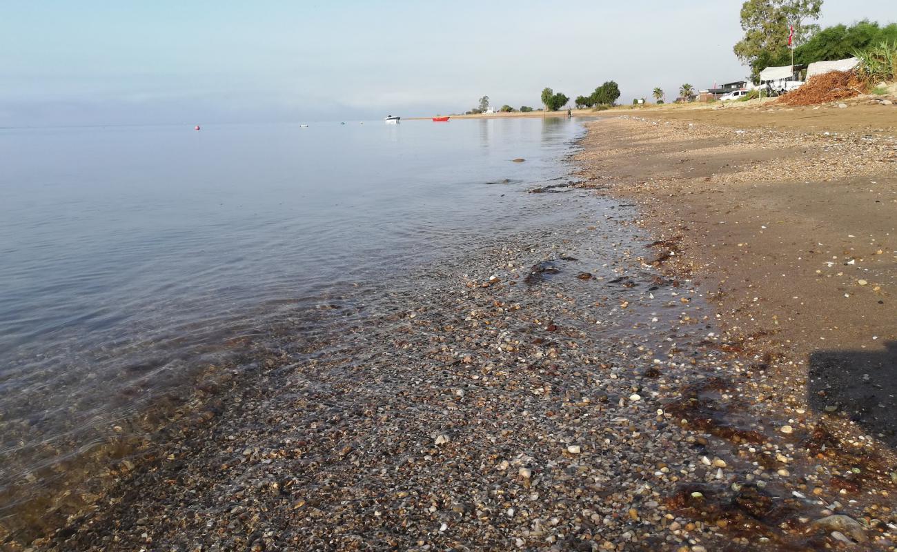 Photo of Cukurova beach with bright sand surface