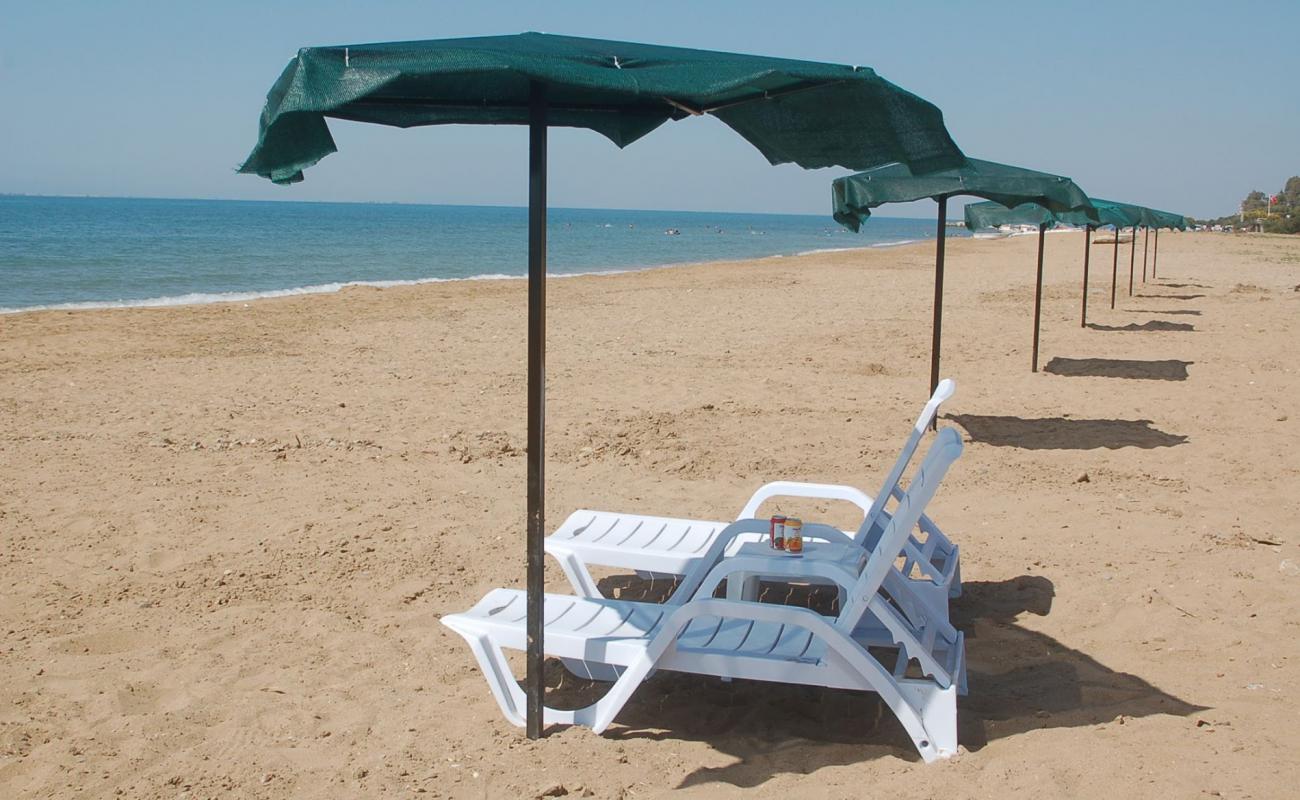 Photo of Yumurtalik beach with brown fine sand surface