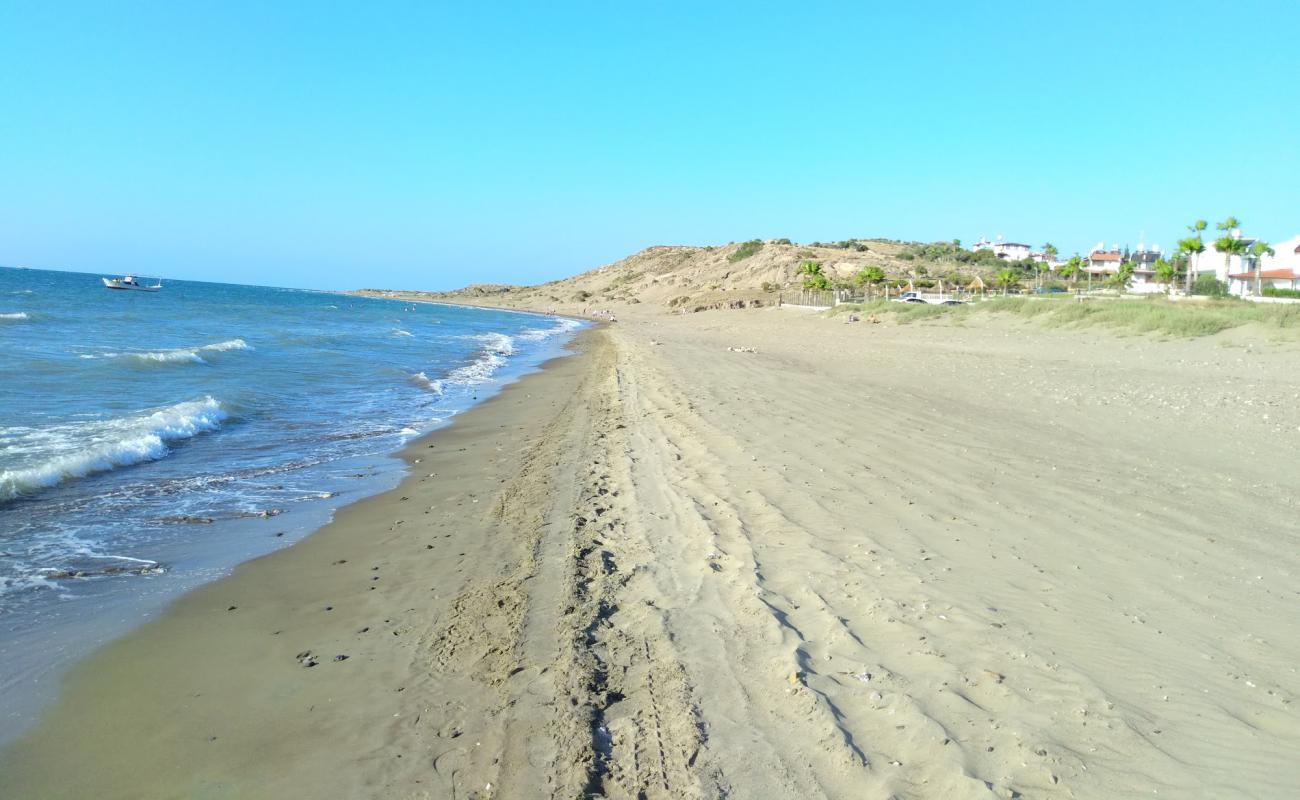 Photo of Arsuz beach with bright sand surface