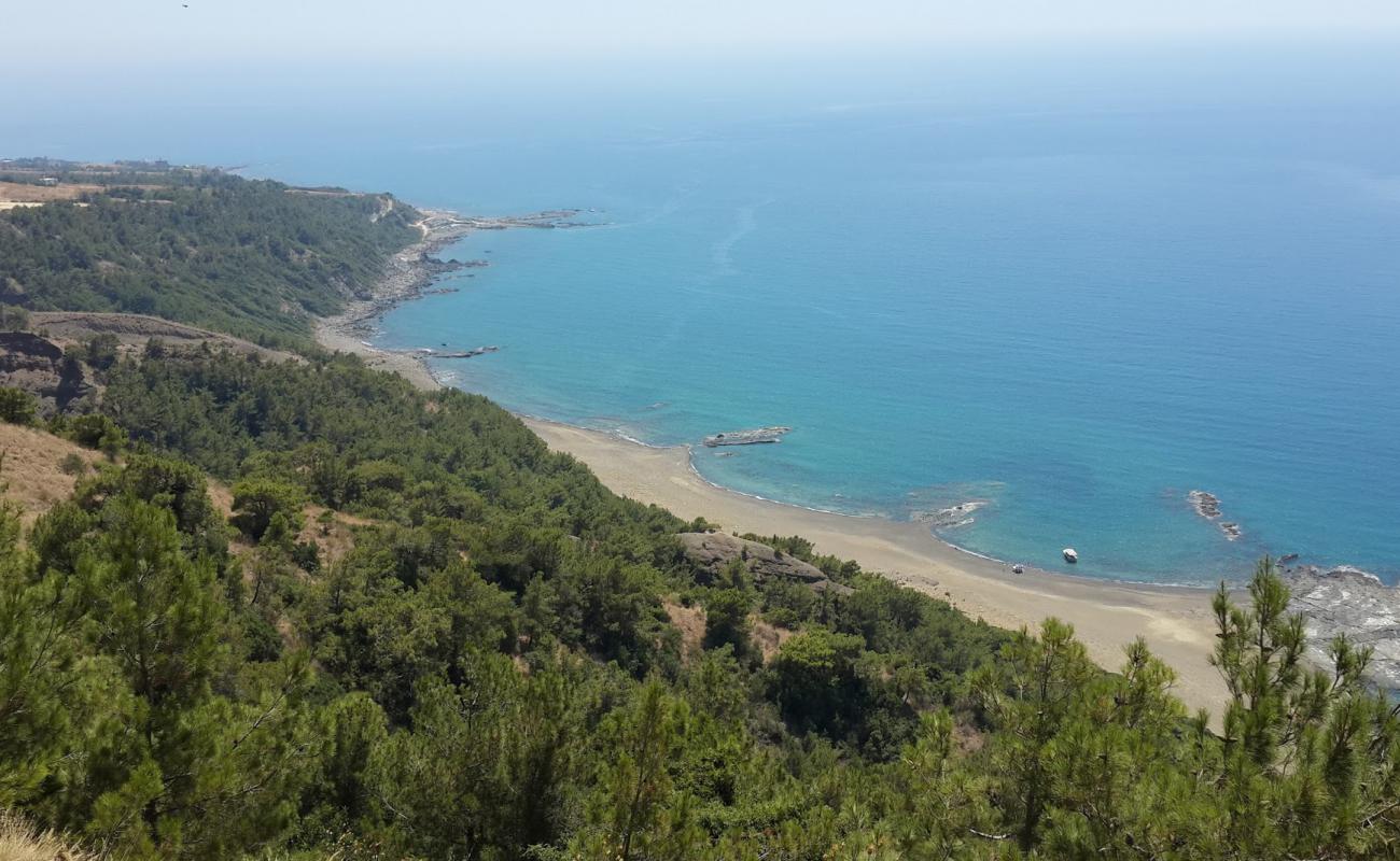 Photo of Kale beach with light pebble surface