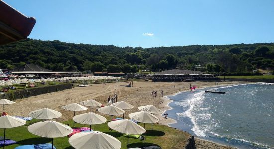 Uzunya beach