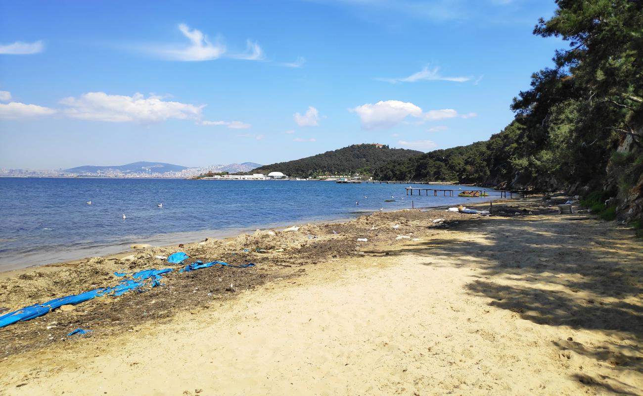 Photo of Kablo Blue Beach & Camping with bright sand surface