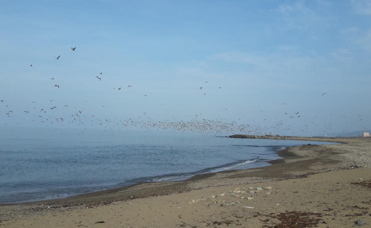 Photo of Sogukpinar Neighborhood Beach with bright sand & rocks surface