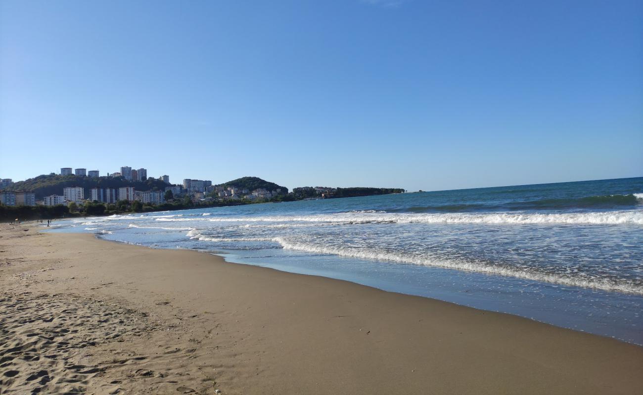 Photo of Fatsa Kadinlar Plaji with bright sand surface