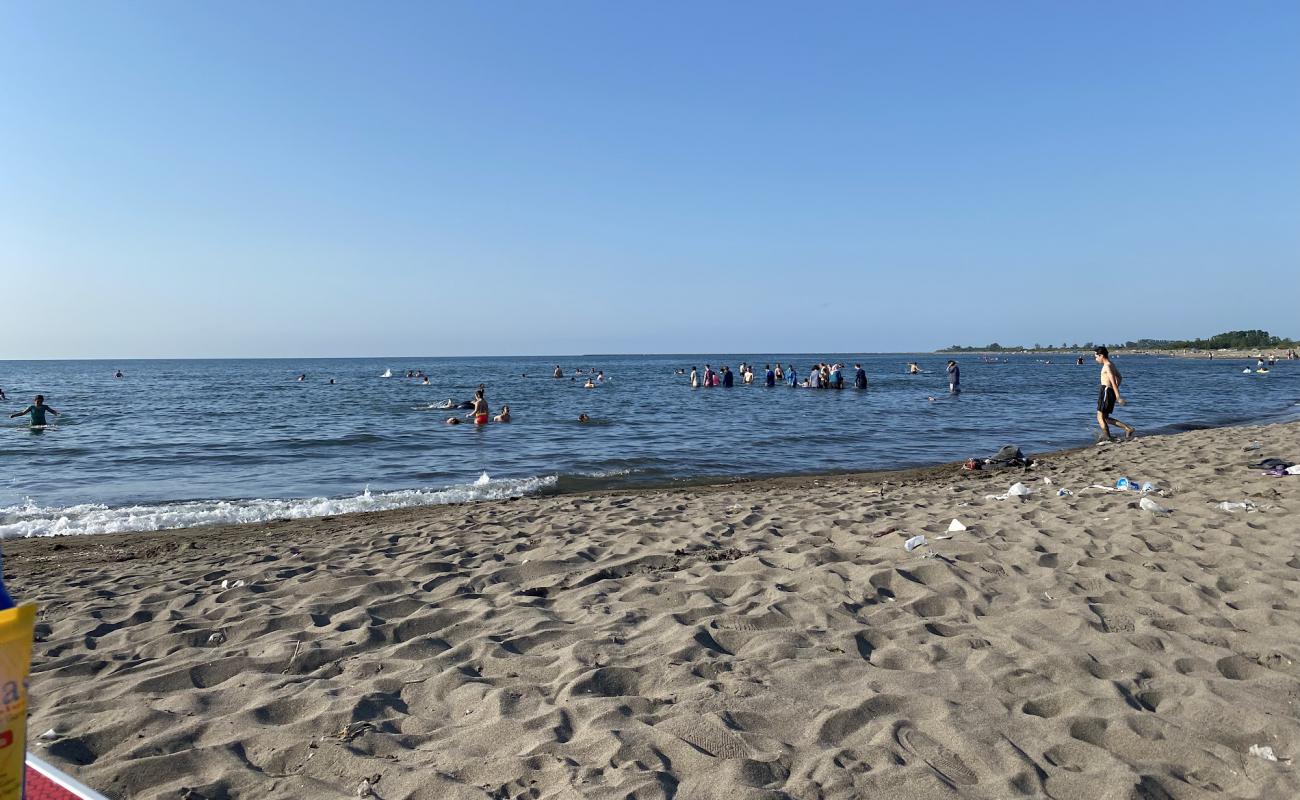 Photo of Costal Sahili with gray sand surface