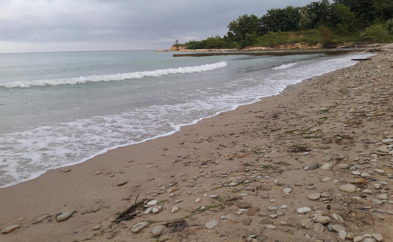 Photo of Ordu Beach with bright sand surface