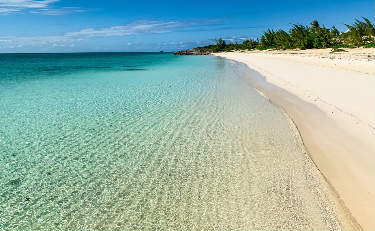 Photo of Taylor Bay beach with bright fine sand surface