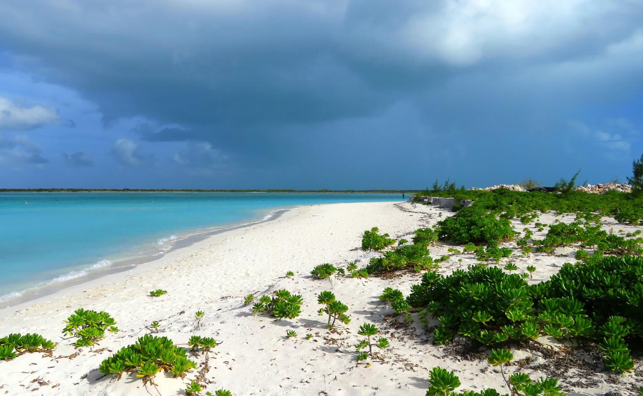 Photo of Leeward beach with white sand surface