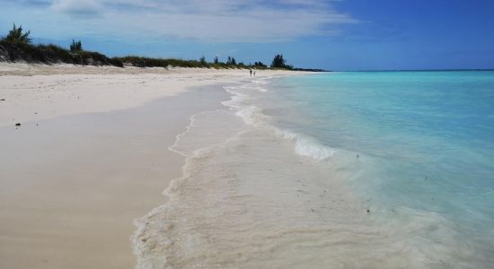 Parrot Cay beach