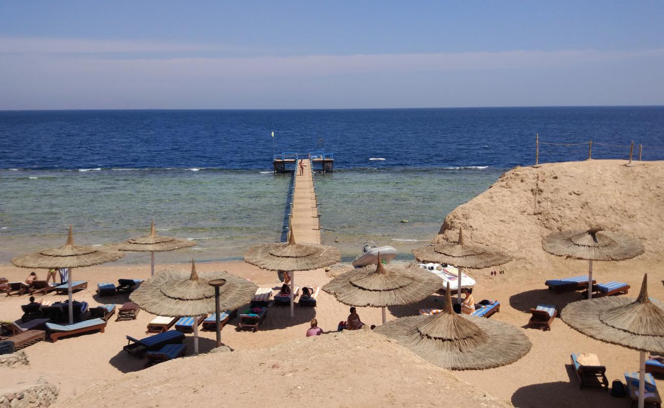 Photo of St. George Coral Beach with concrete cover surface