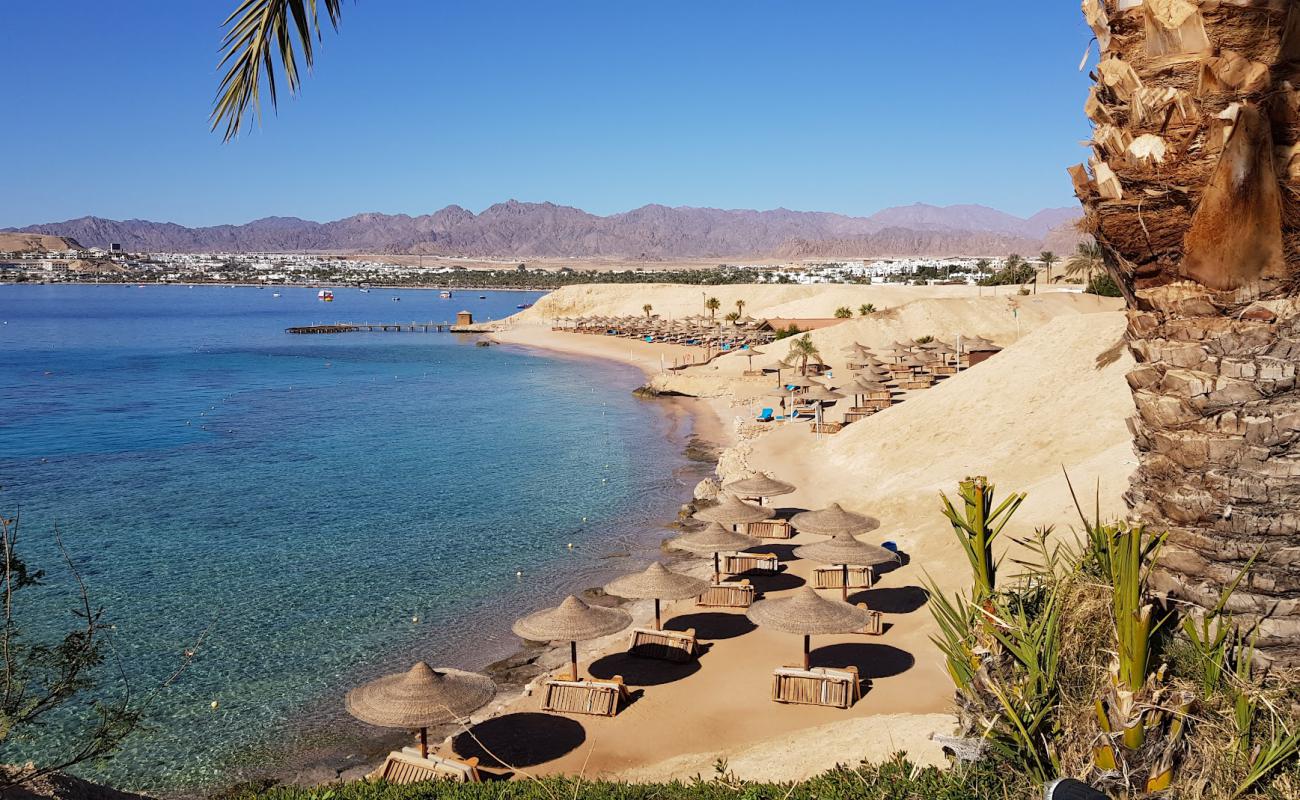 Photo of Movenpick Resort beach with bright sand surface