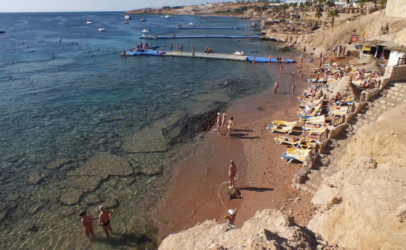 Photo of Shark Bay beach with concrete cover surface