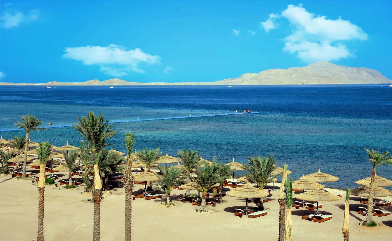 Photo of Sunny Beach with concrete cover surface