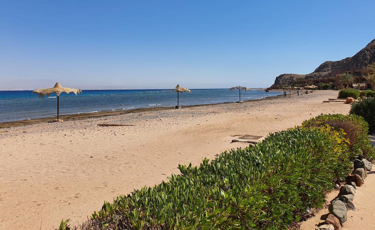 Photo of Saladin Hotel Taba with light pebble surface