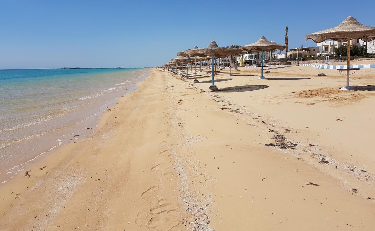 Photo of Golden beach with bright sand surface