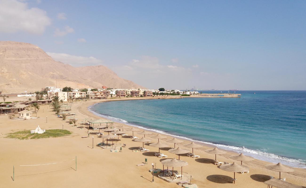 Photo of Dolphin Beach with bright sand surface