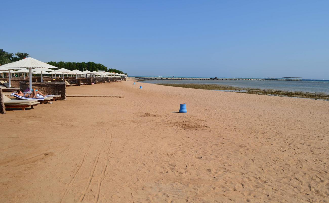 Photo of Pharaoh Azur Resort beach with gray sand surface