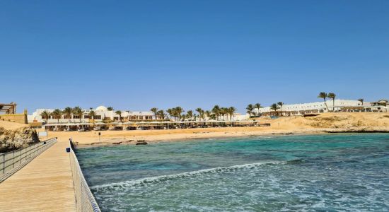 Solymar Reef Marsa