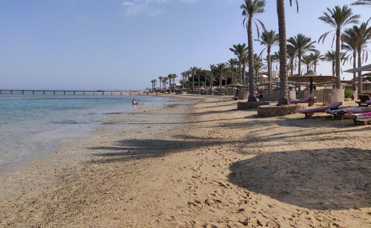 Photo of Elphistone Resort Marsa Alam beach with bright sand surface