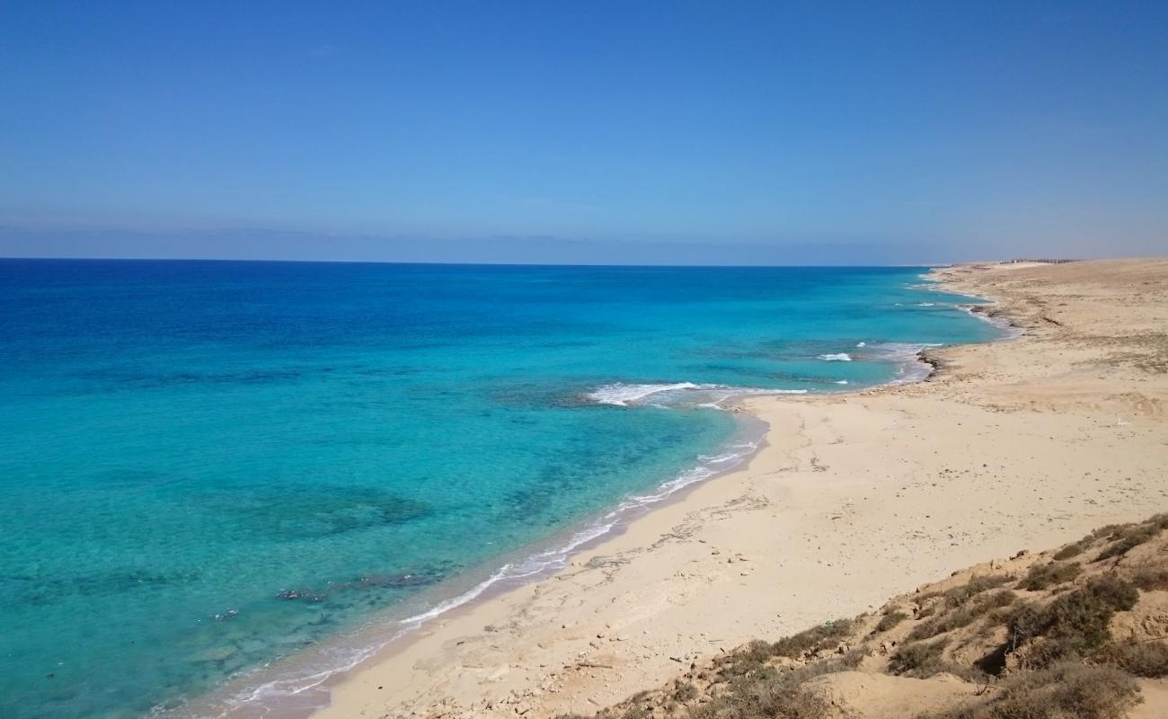 Photo of Shore Beach with bright sand surface