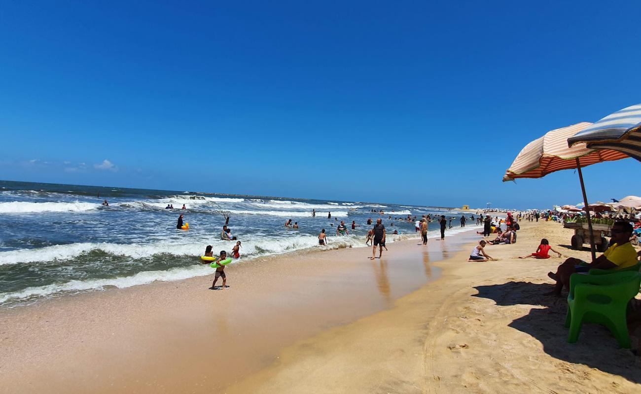 Photo of Palm Beach with bright sand surface