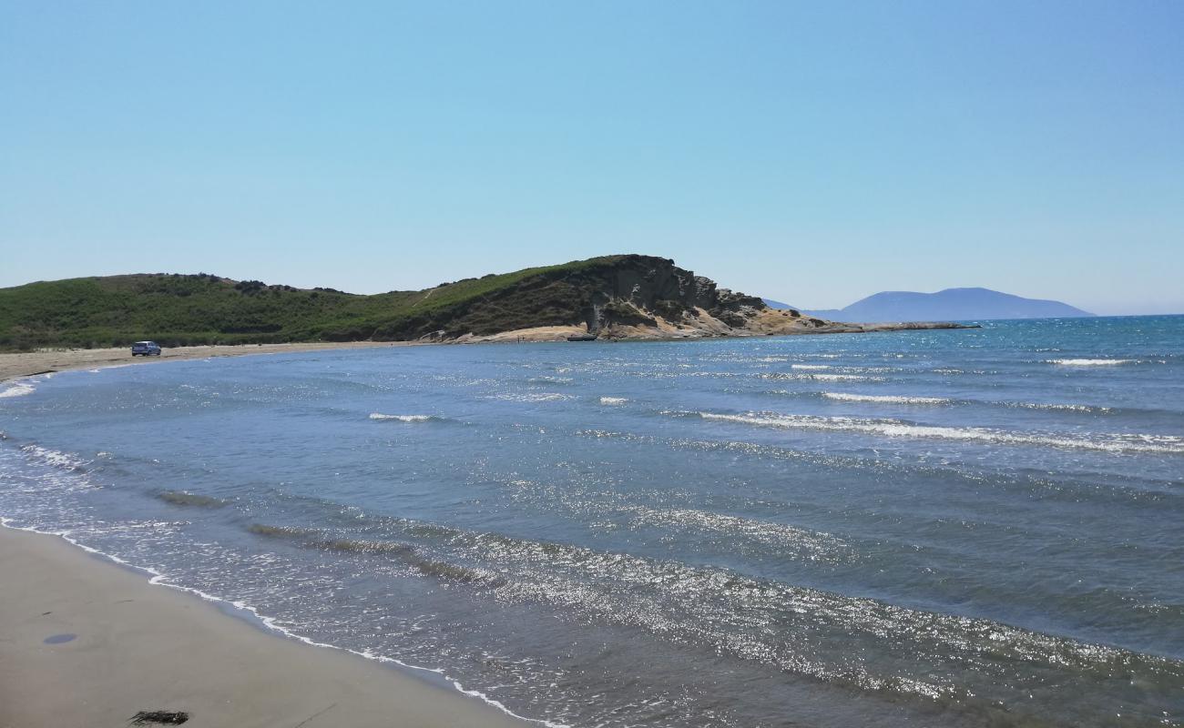 Photo of Zvernec Beach with brown sand surface